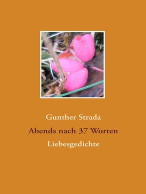 cover image of Abends nach 37 Worten
